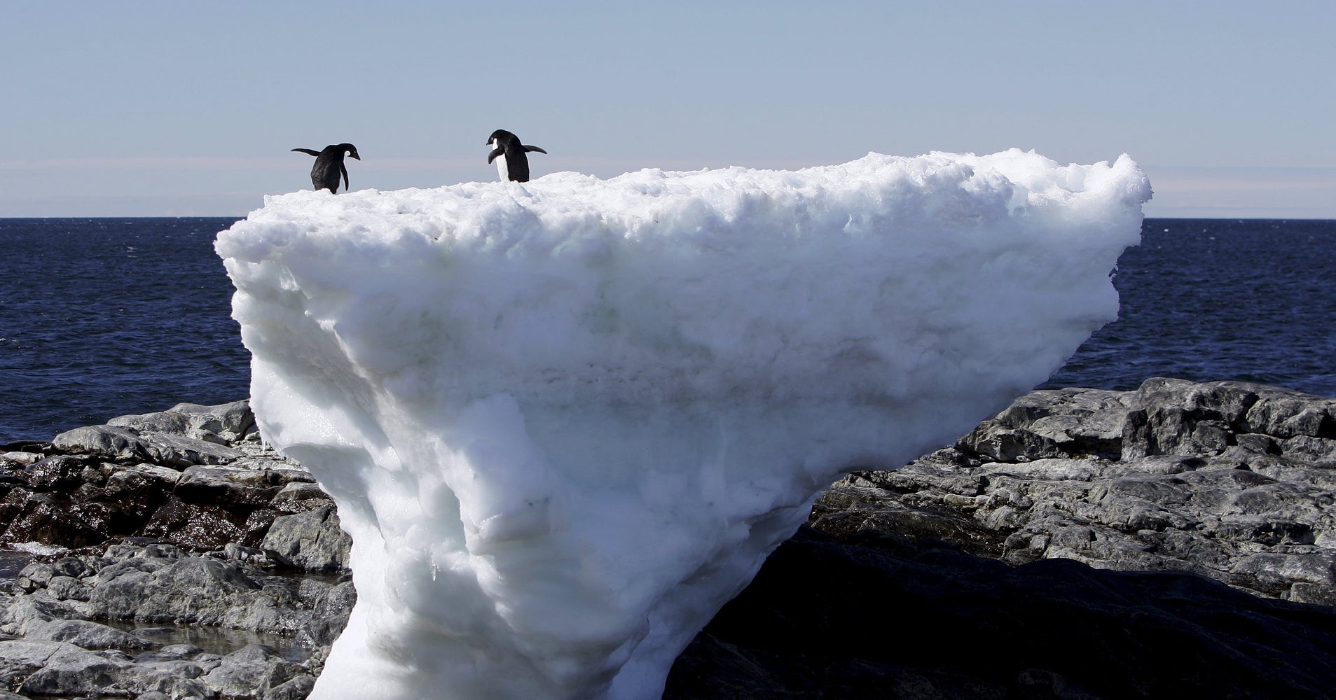 Antarctic Ice Sheet Is Melting Way Faster Than Expected, Scientists