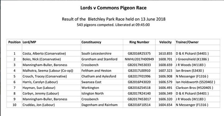 The final results of the pigeon race 