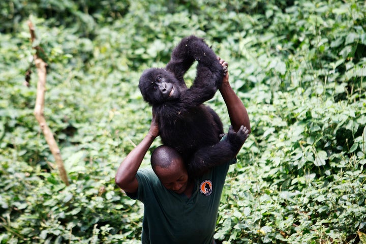 “It is abundantly clear that the Virunga region is deeply affected by insecurity and that this will remain the case for