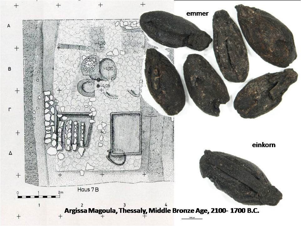 Βύνη και αποτύπωση της οικίας στην οποία βρέθηκε. Άργισσα, Θεσσαλία, 2100-1700 π.Χ. (φωτ.: Αρχείο Σ.Μ. Βαλαμώτη).