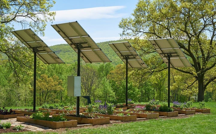 Meg Webster's "Growing Under Solar Panels."