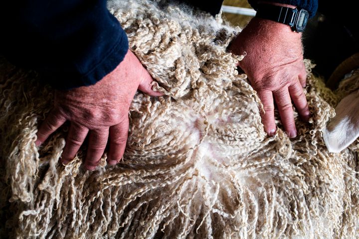 A man shows the hair of an Angora goat at an Expo in Bothaville, South Africa, in May 2018.