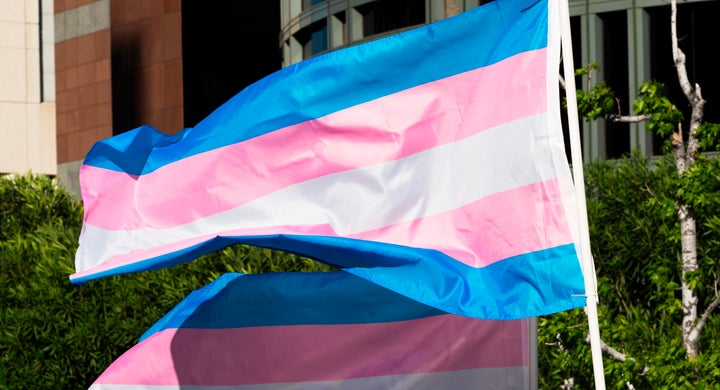 A trans pride flag waves in the wind in Los Angeles, California, on International Transgender Day of Visibility on March 31, 2017.