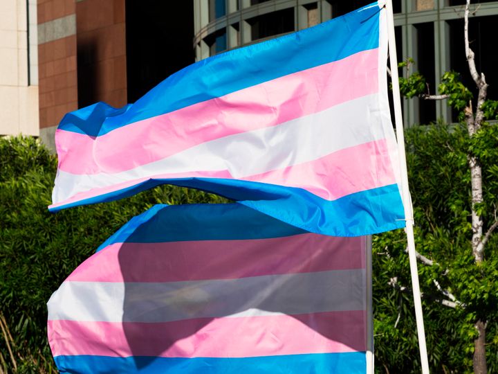 A trans pride flag waves in the wind in Los Angeles, California, on International Transgender Day of Visibility on March 31, 2017. 