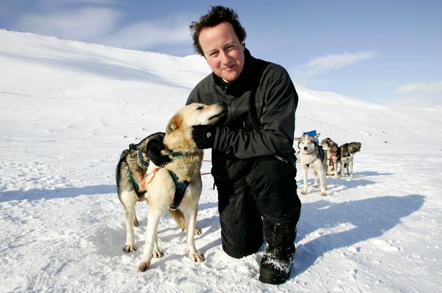 David Cameron, during his 'hug a husky' stage. 