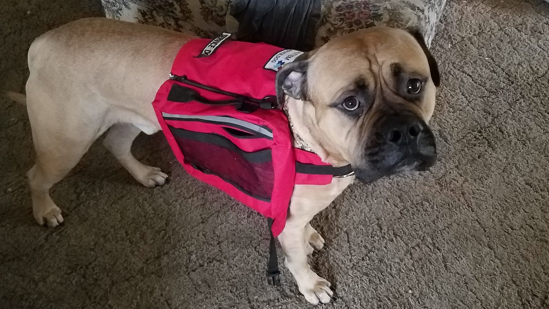 Woman Writes PSA After Her Service Dog Went For Help And Was Ignored(01)