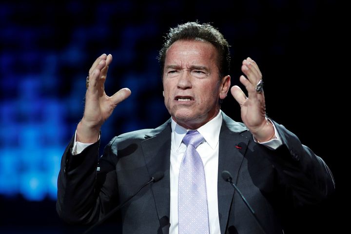 Former California Gov. Arnold Schwarzenegger says it's politicians who don't do their jobs, not children, who should be held in "cages."