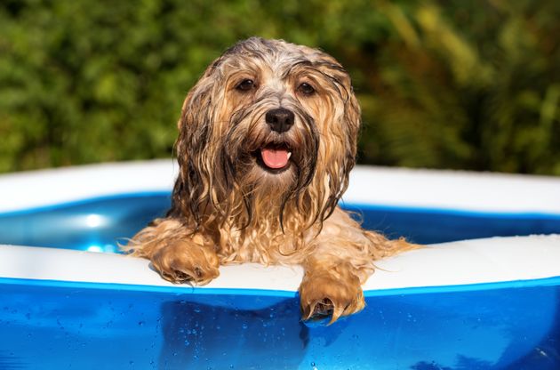 A mini-heatwave is set to hit the UK next week.