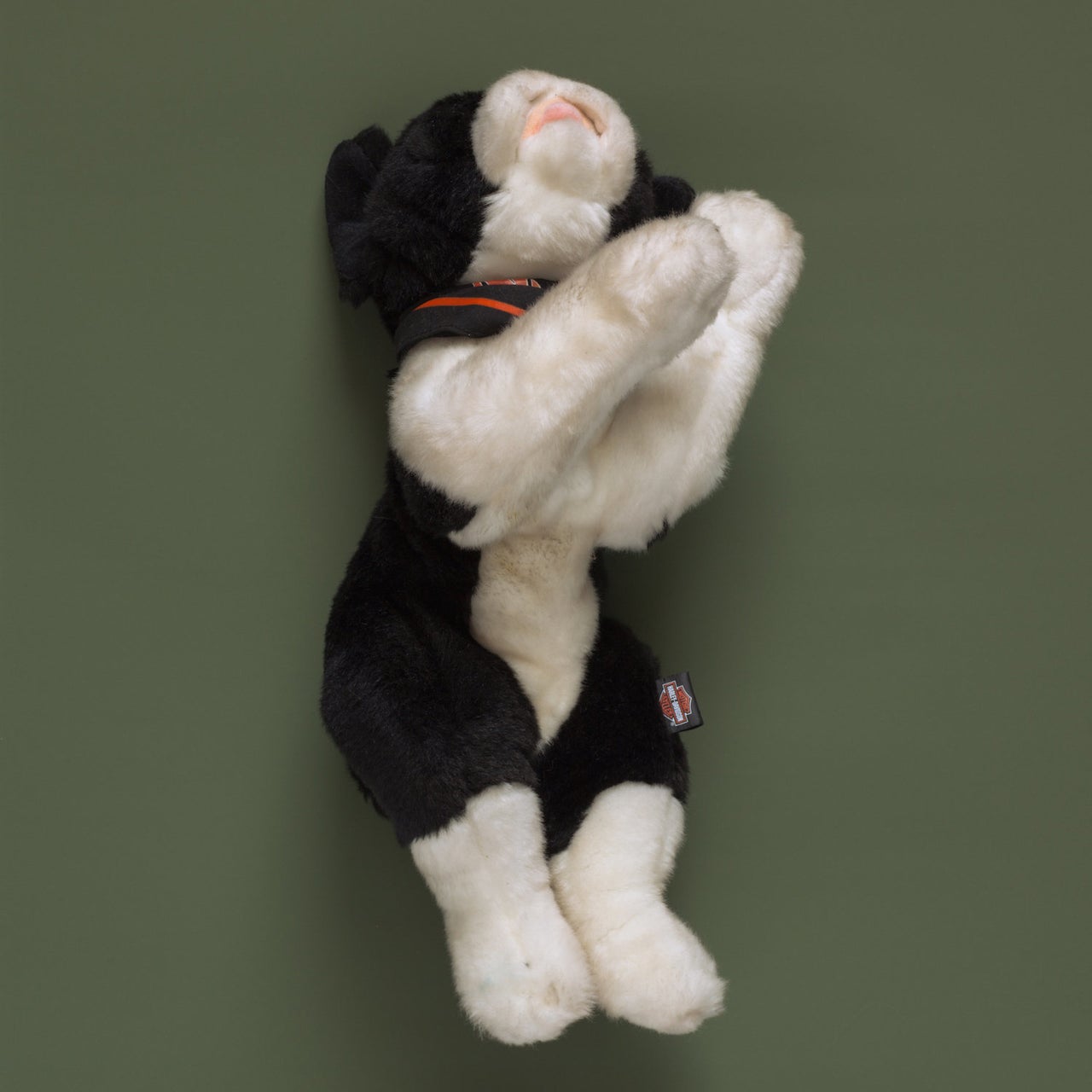 Tom Kiefer, a photographer in Arizona, spent 11 years (2003-2014) as a janitor at a Customs and Border Protection facility. He collected the items that agents confiscated from migrants and threw out, and he photographed them. "Harley Dog," shared with HuffPost, is part of his collection "El Sueño Americano - The American Dream" and can be found at http://tomkiefer.com and https://www.instagram.com/tomkiefer.photographer/.