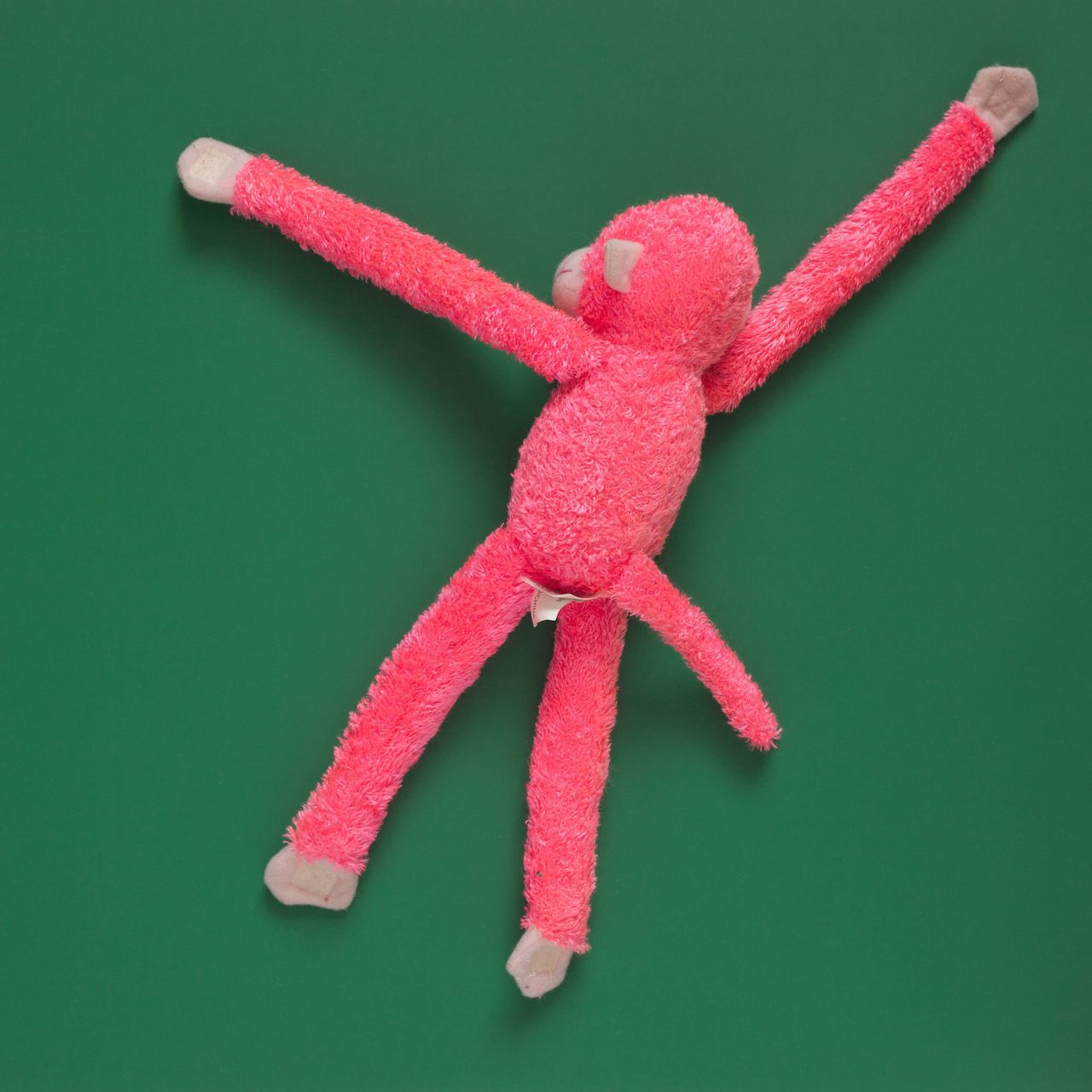 Tom Kiefer, a photographer in Arizona, spent 11 years (2003-2014) as a janitor at a Customs and Border Protection facility. He collected the items that agents confiscated from migrants and threw out, and he photographed them. "Pink Monkey," shared with HuffPost, is part of his collection "El Sueño Americano - The American Dream" and can be found at http://tomkiefer.com and https://www.instagram.com/tomkiefer.photographer/.