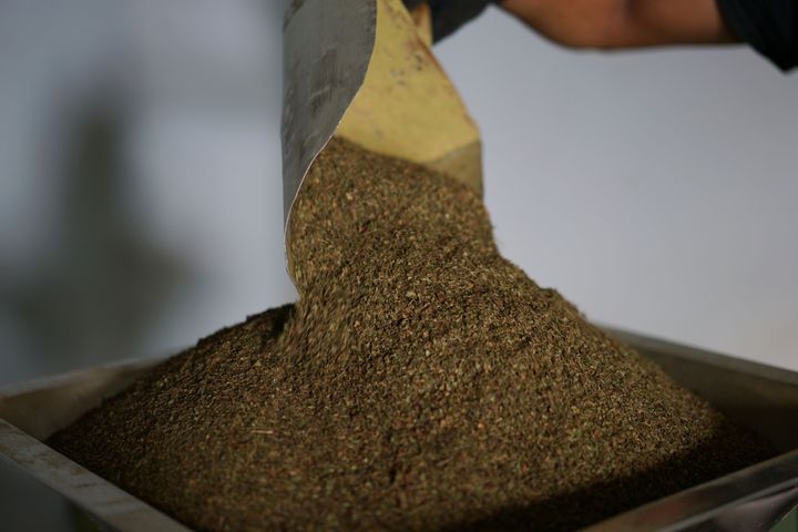 Kratom, seen above as it's about to be ground into a fine powder in Indonesia, is touted by its advocates as a benign alternative to addictive opioids. 