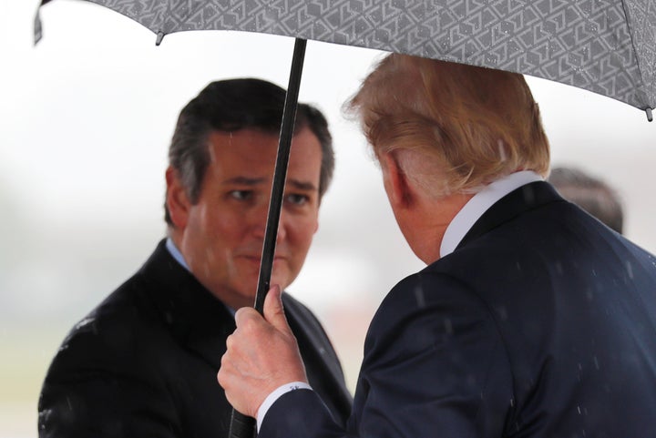 Sen. Ted Cruz (R-Texas) speaks to President Donald Trump in the rain.