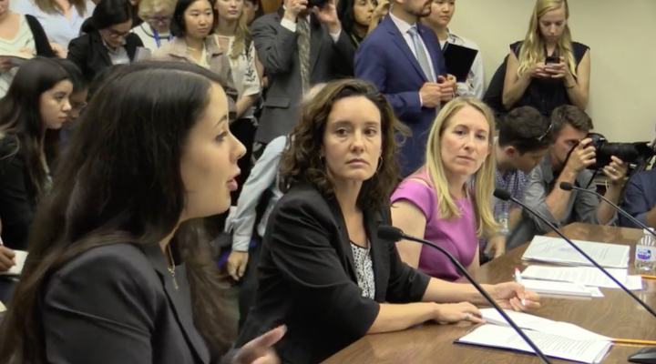 Experts testified from the American Academy of Pediatrics, as well as from immigrant advocacy groups Human Rights First and K