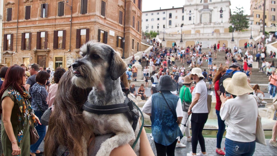 piazza di Spagna