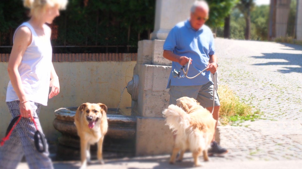 Λίγο νερό για να ξεδιψάσουν δίποδα και τετράποδα πλάσματα