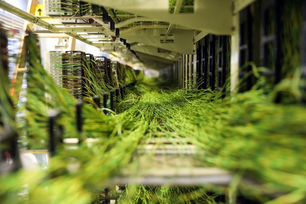 Copper wires lie in a rack at a BT Group Plc exchange building in Upminster, U.K.