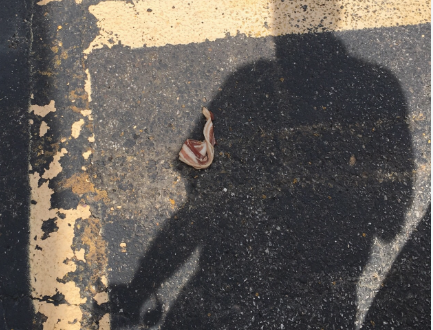 Bacon allegedly left in the parking lot of Rochester’s Masjid AbuBakr Al-Seddiq Islamic Center, in a photo provide