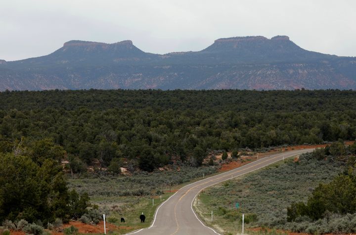 Bears Ears, the twin rock formation that's part of Bears Ears National Monument in the Four Corners region. The monument lost 85 percent of its protected acreage.