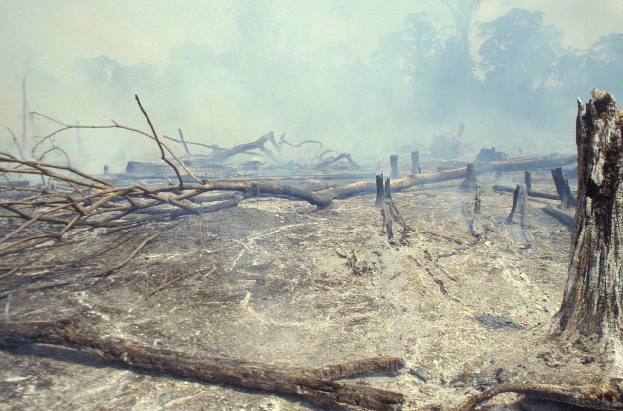 Amazon rainforest burning to clear it for cattle-raising in Acre State, Brazil.