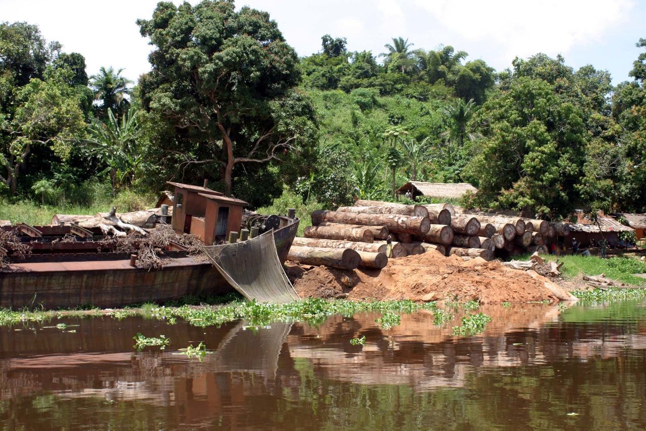 Logs lie next to the banks of the Congo River in the Democratic Republic of Congo. Despite a ban on new logging, the country's rate of deforestation has shot up.