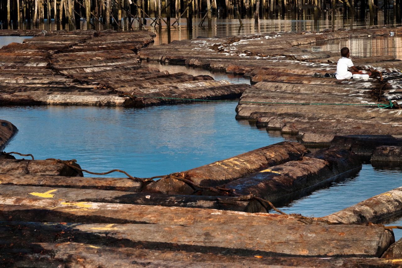 Logs floating in the water near Tumaco, Colombia. Sawmills on the banks of the Pacific jungle rivers produce wood mostly for the construction industry and paper production. Uncontrolled logging is leading to extensive deforestation. 