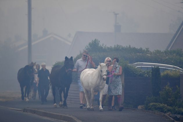 Horses are moved through heavy smoke in Carrbrook as residents were evacuated 