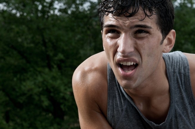 <p>Everything in moderation (except those sweet gains).</p>