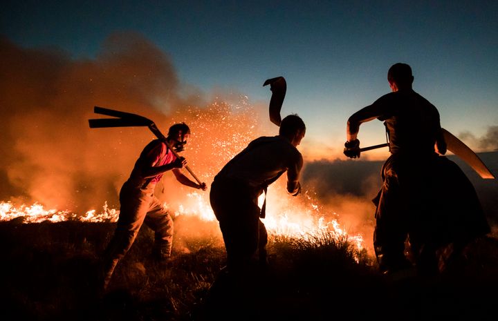 The fire service said it may take 'weeks' to contain fires on Saddleworth moor - firefighters are pictured above trying to contain a blaze in Bolton