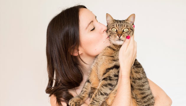 How The Cat Lady Trope Came To Be Huffpost