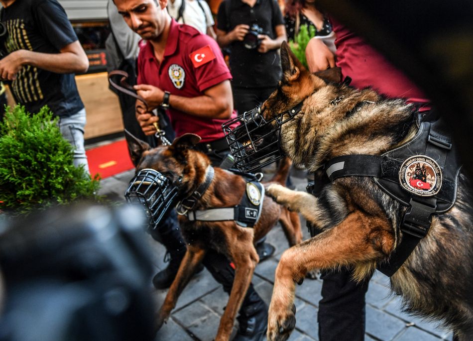 Και σκυλιά της αστυνομίας ενάντια στους διαδηλωτές. BULENT KILIC via Getty Images