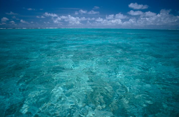 Crystal-clear water off Midway Atoll, about 1,200 miles northwest of Honolulu. The Northwestern Hawaiian Islands are surrounded by Papahanaumokuakea Marine National Monument.