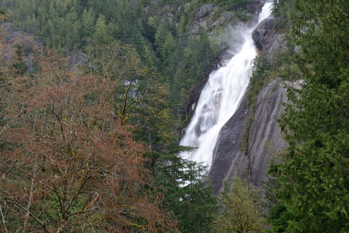 The accident happened in Shannon Falls, British Columbia 