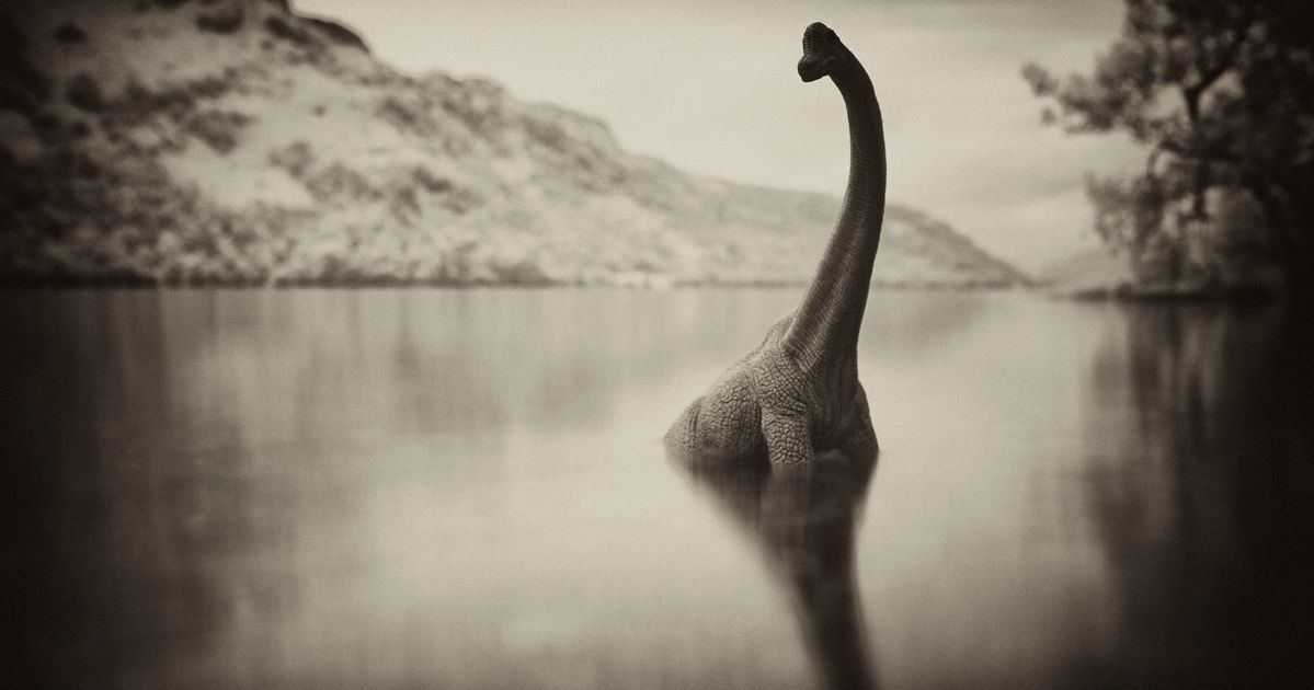 Loch ness monster. Озеро Лохнесс и Лохнесское чудовище. Лох-Несс озеро чудовище. Озеро Лохнесс в Шотландии чудовище. Несси Лохнесское чудовище.