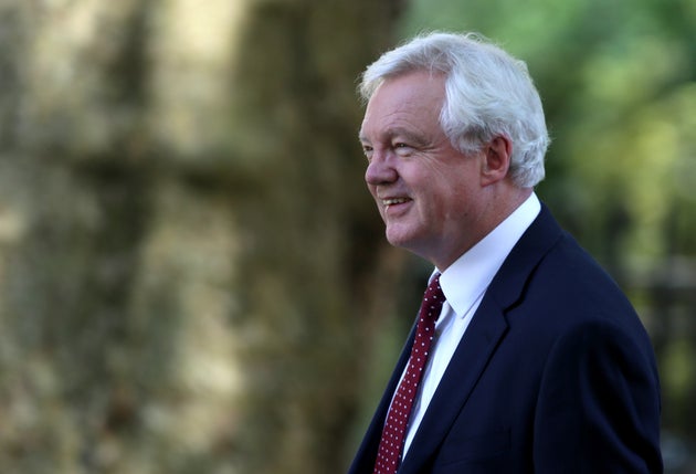 David Davis has quit the government