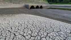 Reservoirs Run Dry In Heatwave Amid Warnings Of A Hosepipe Ban