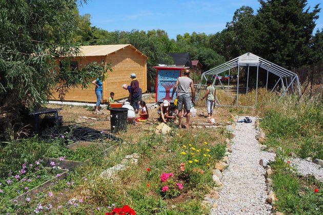 Pikpa's community garden