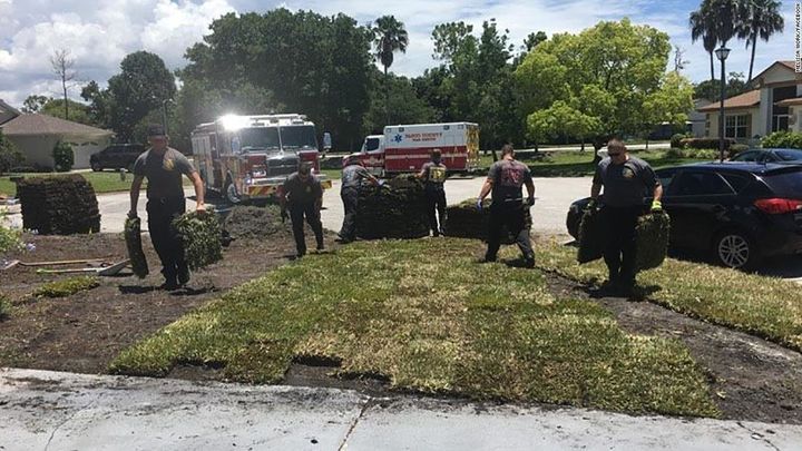 First responders from Pasco County Fire Rescue Station 10 help lay sod after local man Gene Work had a heart attack.