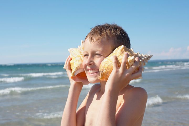Odds are someone told you as a child, "If you hold a seashell up to your ear, you'll hear the ocean." 