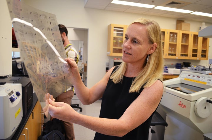 North Carolina State University Professor Heather Patisaul studies how exposures to hormone-mimicking chemicals such as BPA can shape brain development. Here she holds up scans of rat brains her lab studied as part of CLARITY-BPA.