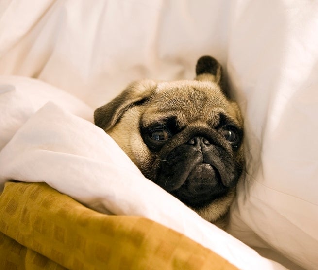 <p>Getting to bed on time is surprisingly complicated.</p>
