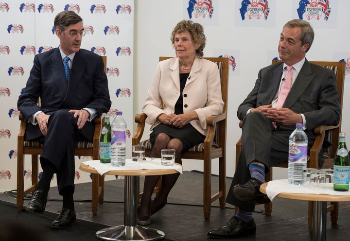 <strong>Hoey campaigned with hard Brexiteers such as Jacob Rees Mogg and Nigel Farage during the EU Referendum</strong>