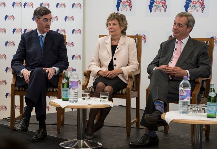 <strong>Hoey campaigned with hard Brexiteers such as Jacob Rees Mogg and Nigel Farage during the EU Referendum</strong>