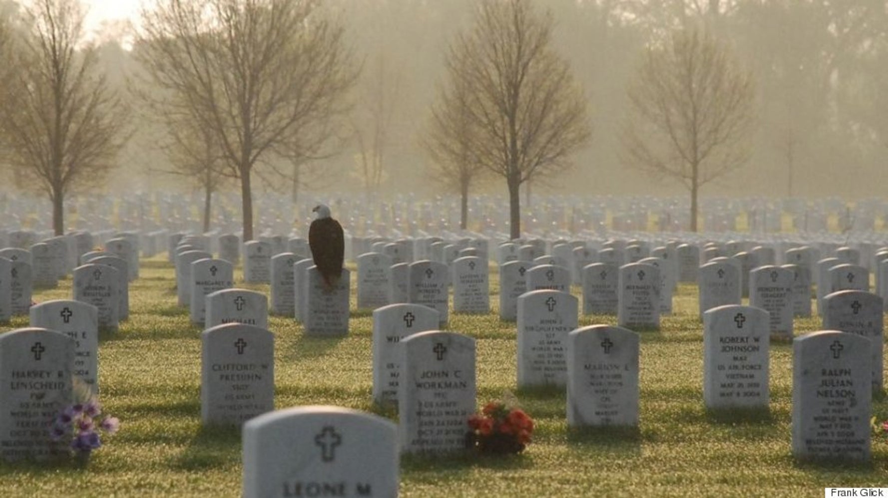 Photograph Of Bald Eagle On Veteran's Gravestone Goes Viral | HuffPost