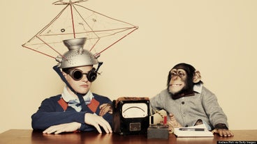 animals smarter than humans animals smarter than humans