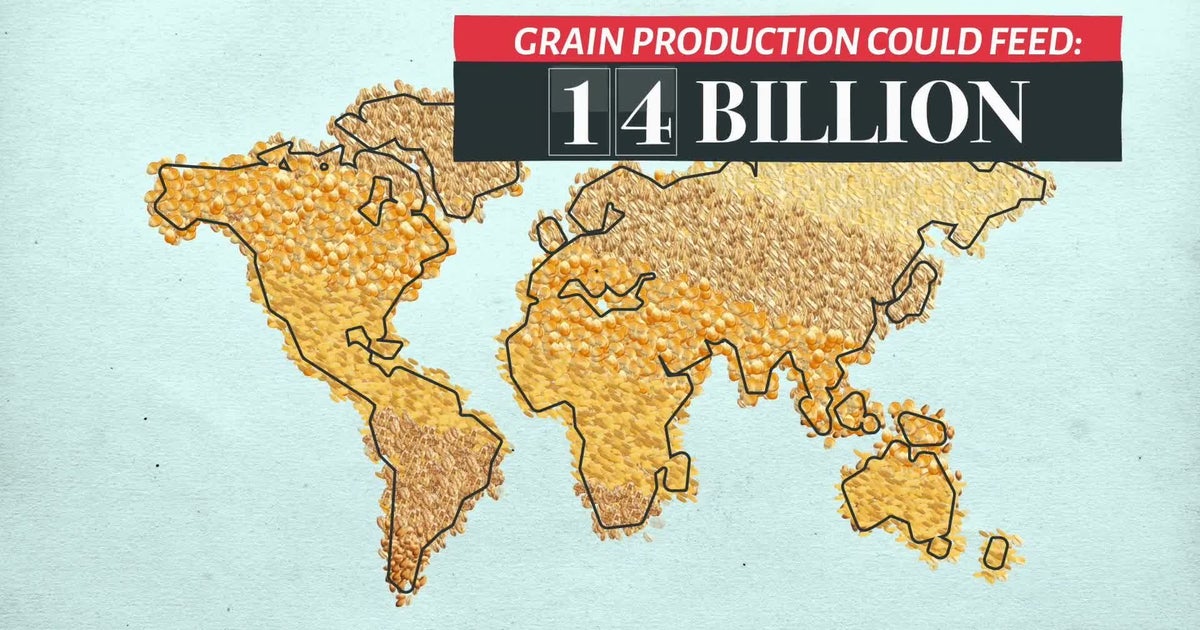Do More, Meat Less | HuffPost Videos