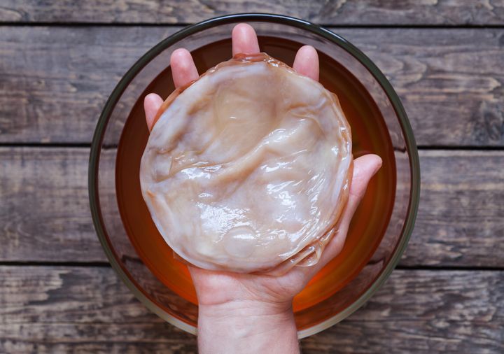 The scoby -- symbiotic cultures of bacteria and yeast -- infuses kombucha with yeast and beneficial bacteria to create fermentation.