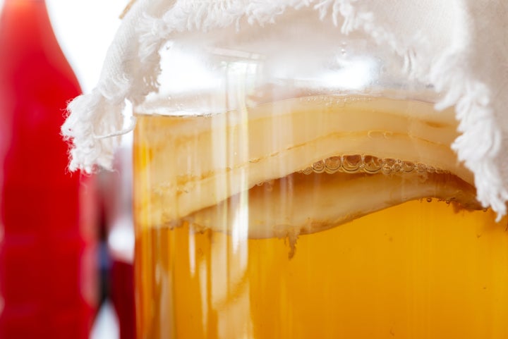 A closer look at the scoby.