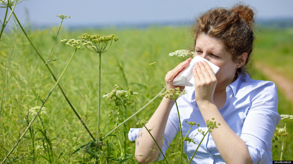 Tips For Allergy Season 2015 | HuffPost Videos