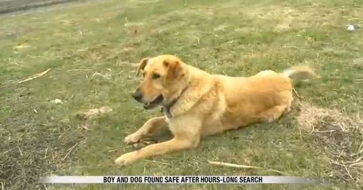 Loyal Dog Protects Missing Boy By Refusing To Leave His Side | HuffPost ...