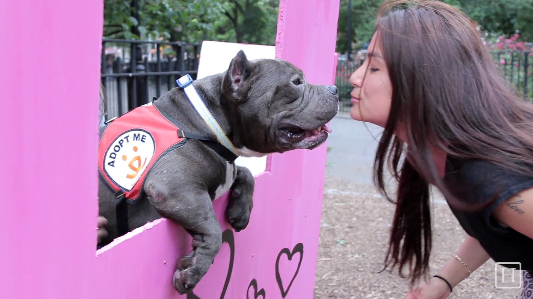 Dog Kissing Booth for Best Friends Animal Society HuffPost Videos